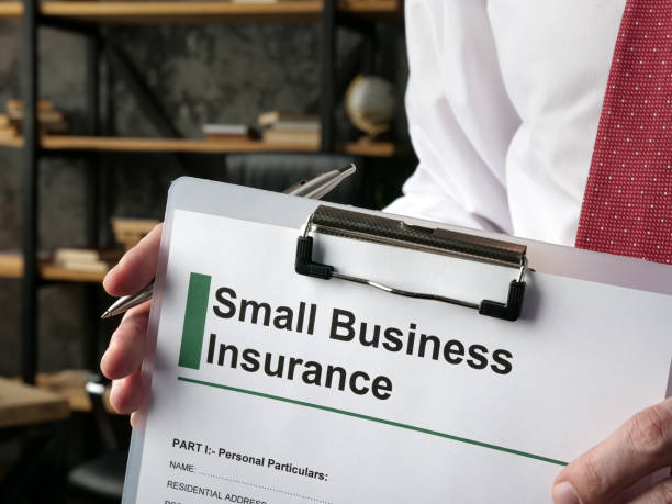 Insurance options for small bussinesses